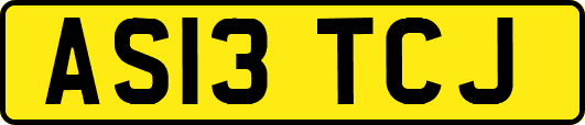 AS13TCJ