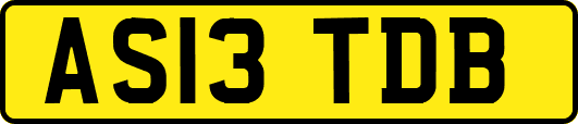 AS13TDB