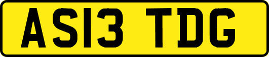 AS13TDG