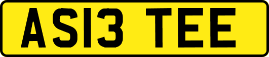 AS13TEE