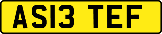 AS13TEF