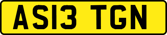 AS13TGN