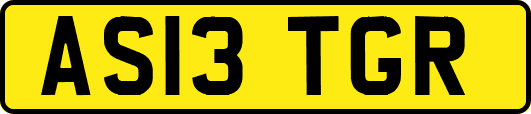 AS13TGR
