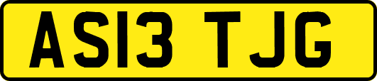 AS13TJG