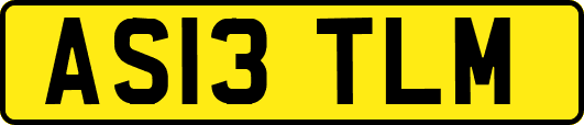 AS13TLM