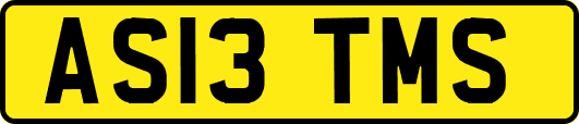 AS13TMS