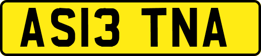AS13TNA