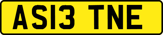 AS13TNE