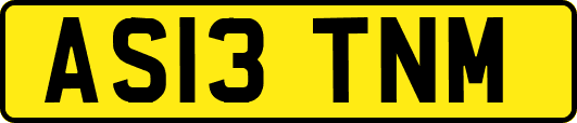 AS13TNM