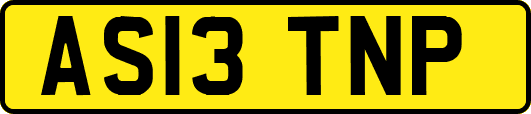 AS13TNP