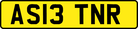 AS13TNR