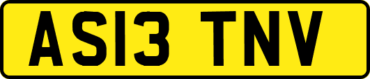 AS13TNV