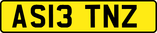 AS13TNZ