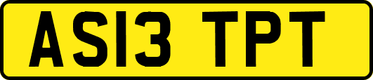 AS13TPT