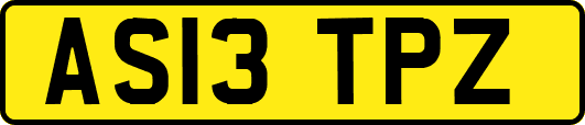 AS13TPZ