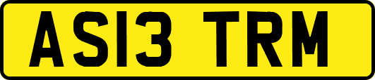 AS13TRM