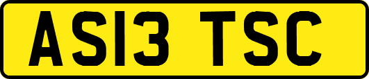AS13TSC