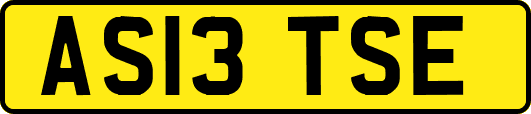 AS13TSE