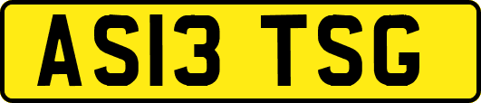AS13TSG