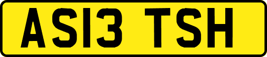 AS13TSH