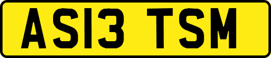 AS13TSM