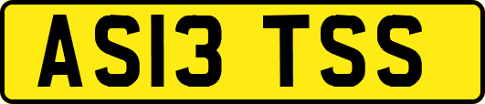 AS13TSS