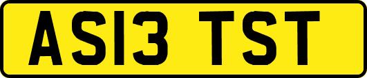 AS13TST