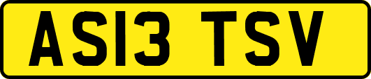 AS13TSV