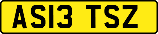 AS13TSZ