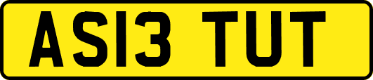 AS13TUT