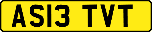 AS13TVT