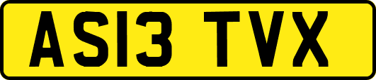 AS13TVX
