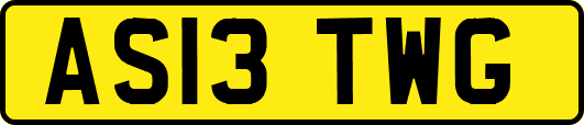 AS13TWG
