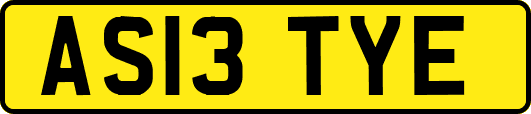 AS13TYE