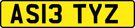 AS13TYZ