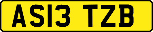 AS13TZB