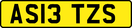 AS13TZS