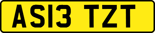 AS13TZT