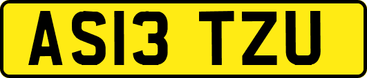 AS13TZU