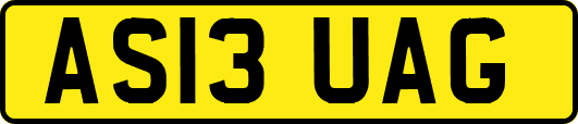 AS13UAG