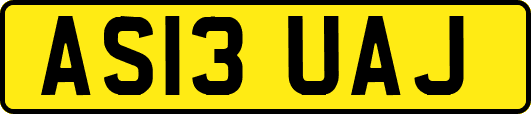 AS13UAJ