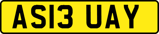 AS13UAY