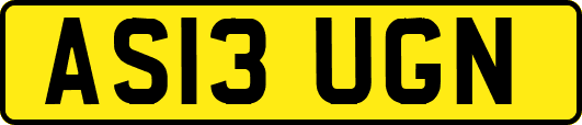 AS13UGN