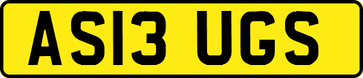 AS13UGS