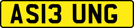 AS13UNG