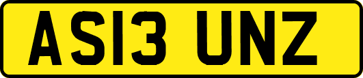 AS13UNZ