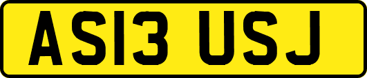AS13USJ
