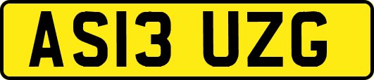 AS13UZG