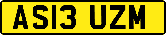 AS13UZM