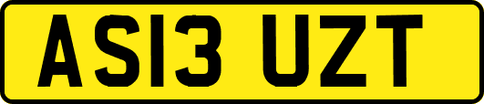 AS13UZT